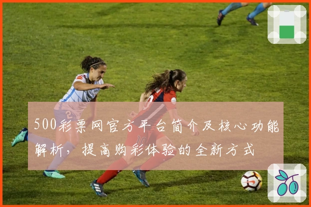 500彩票网官方平台简介及核心功能解析，提高购彩体验的全新方式