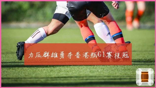 力压群雄勇夺香港瓶G1赛桂冠